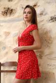 Serafina-The-Red-Dress-Diary--17ltbuuw6b.jpg
