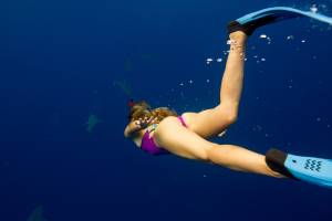 Sportive Young Surfer Girls On A Trip Around Nude Underwater-d7msnce0ca.jpg