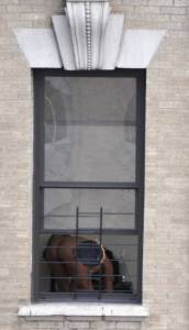 Harlem Naked Neighbor Girl Naked in the Window - New York - 17 Picsn7n2d72vqg.jpg