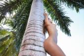 Melena-Maria-Rya-Big-Palm-Tree-Watch4Beauty--37rhvgwr0e.jpg