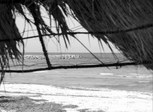 Beach Spying On Vacation-r7q3g4fg7j.jpg