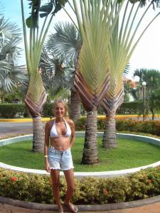 Blonde Horny and on Vacation 50+ pics-y7qps3f0q5.jpg